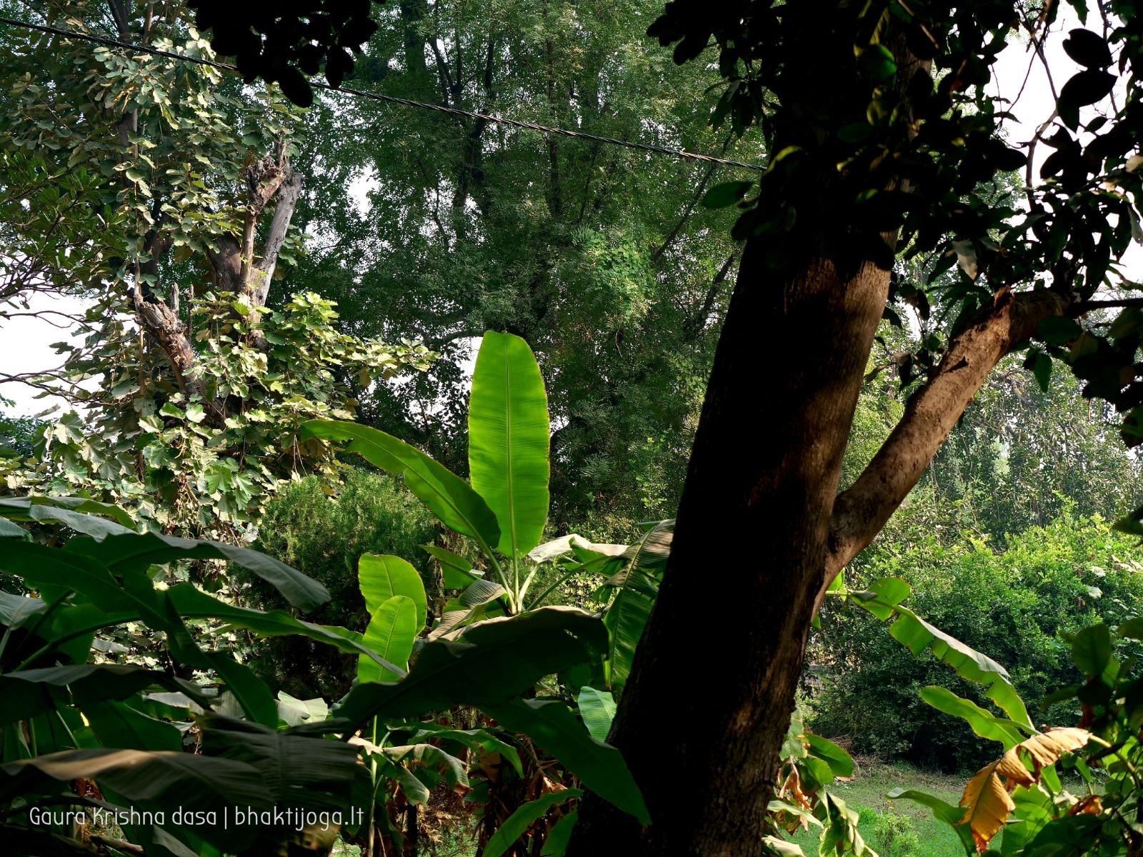  Varshana parikrama and preaching. 2019.12.10